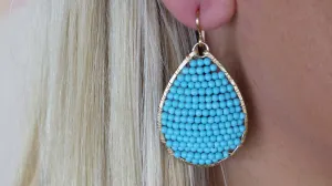 Posh Turquoise Earrings