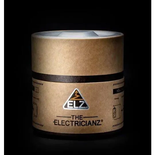 The ELECTRICIANZ CaZino